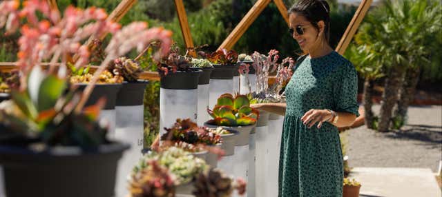 Visite guidée du BIBO PARK Ibiza Botánico Biotecnológico